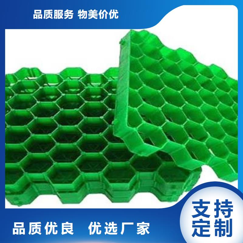 塑料植草格哪里能买到