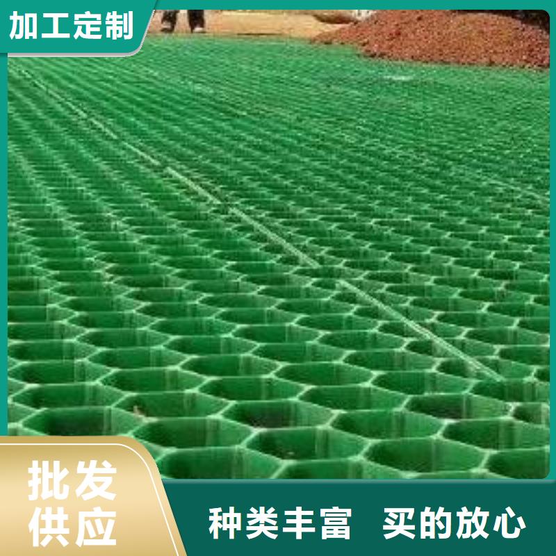 植草格厂家-消防通道植草格厂家