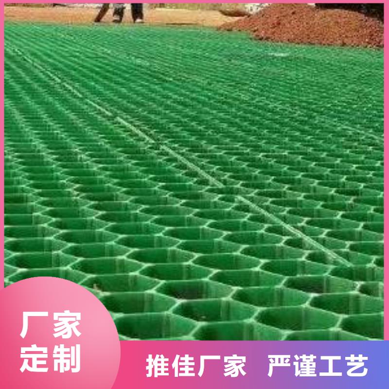 塑料植草格朋联工程-厂家直销