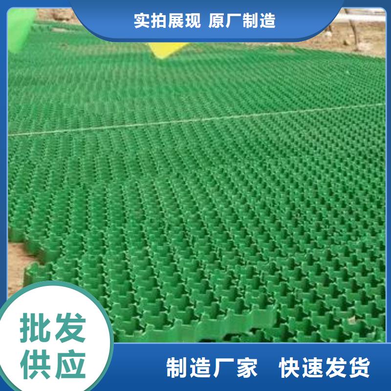 消防通道植草格-植草格厂家