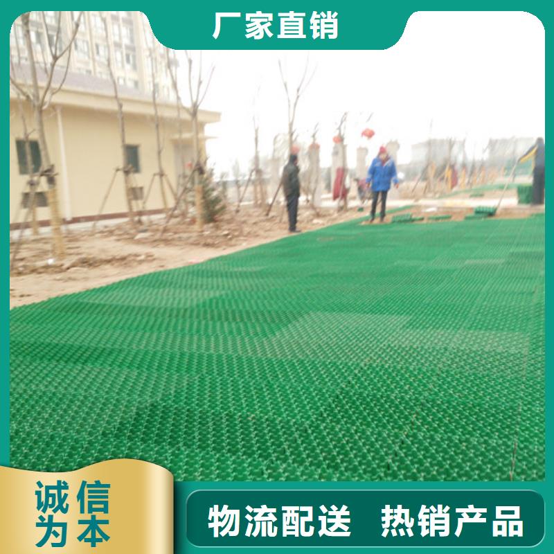 塑料植草格朋联工程-厂家直销