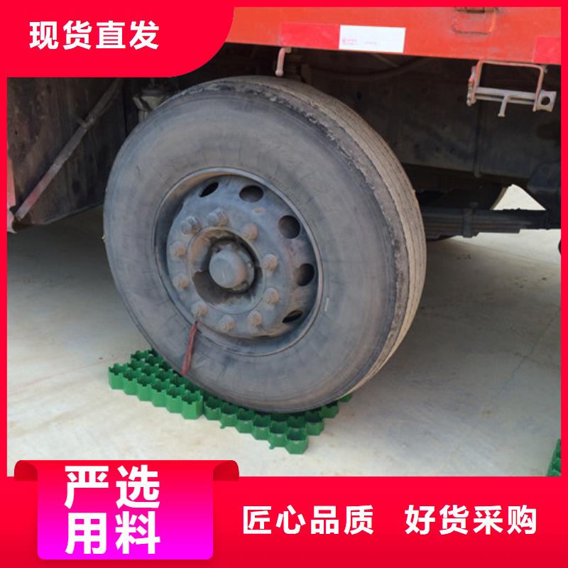 塑料植草格有限公司