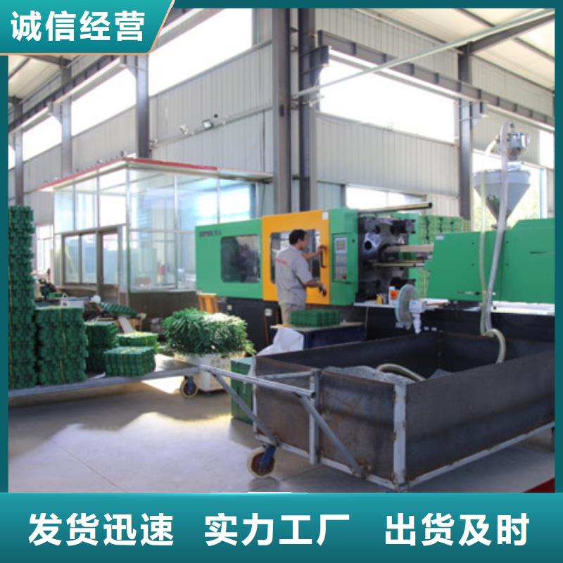 塑料植草格批发价-欢迎咨询