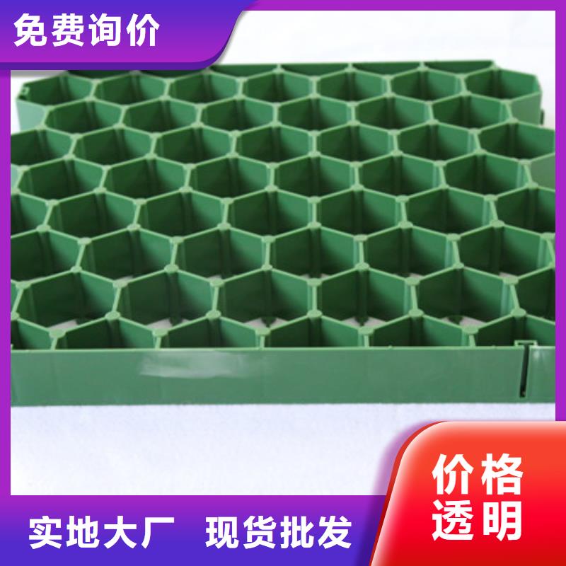 塑料植草格哪里能买到