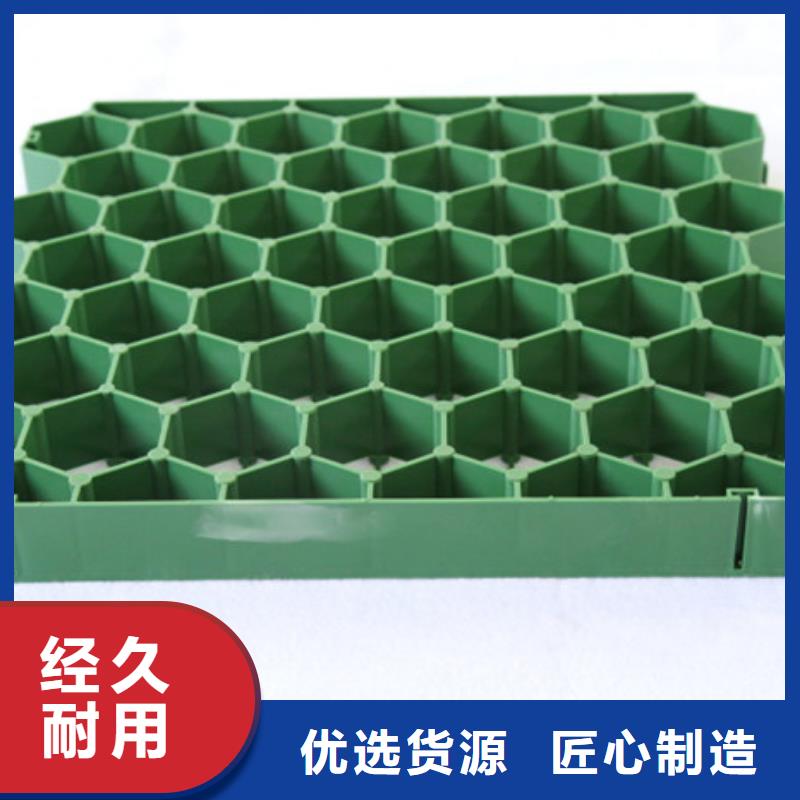 塑料植草格哪里能买到