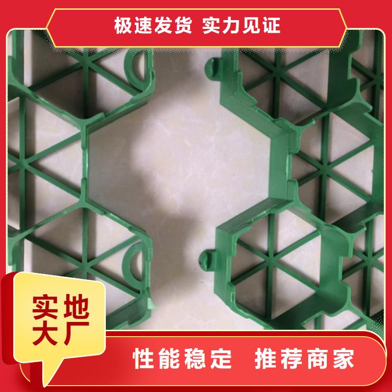 塑料植草格哪里能买到