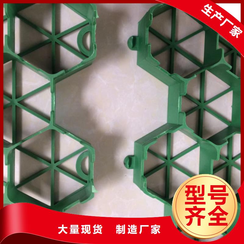 塑料植草格批发价-欢迎咨询