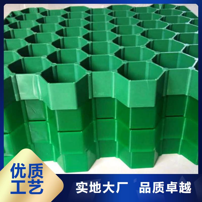 塑料植草格哪里能买到