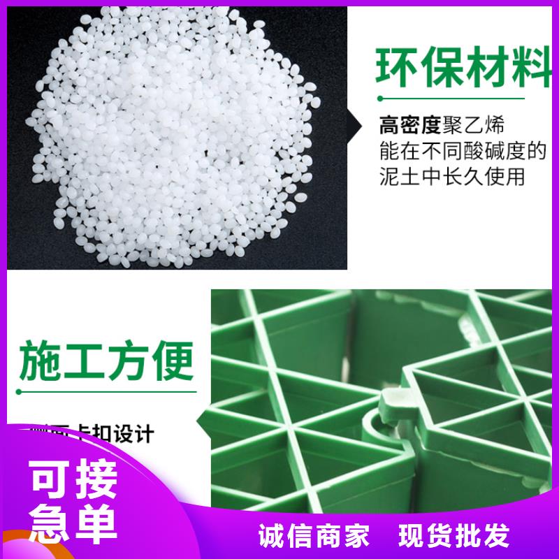 塑料植草格-朋联集团