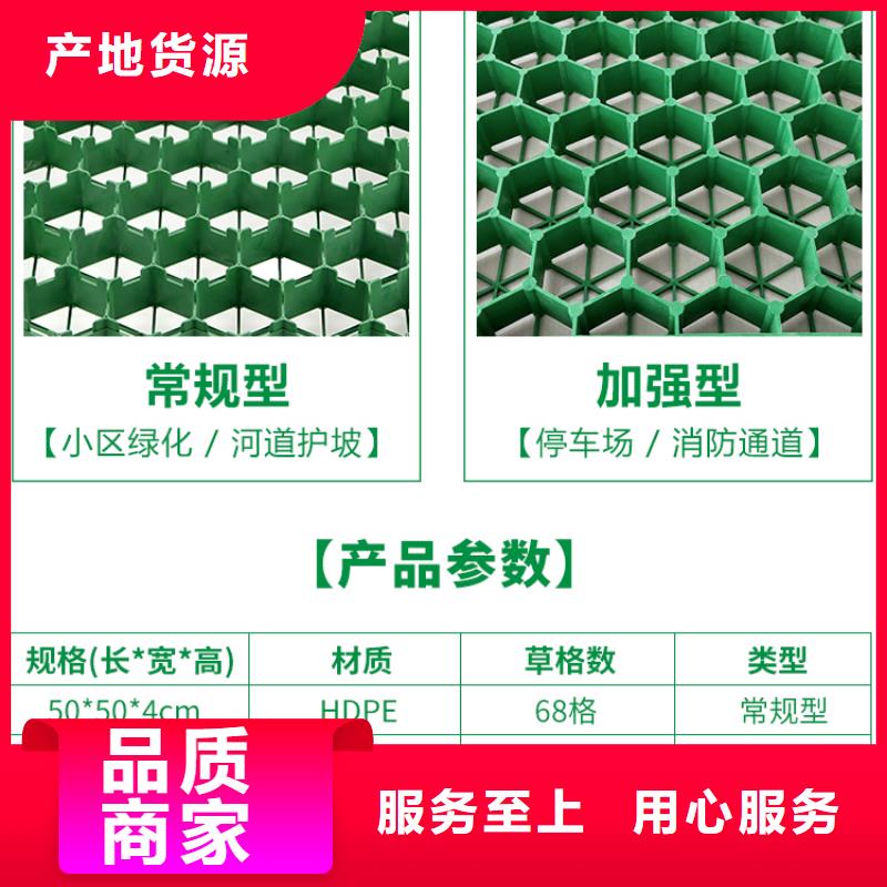 塑料植草格哪里能买到