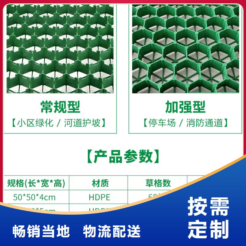 塑料植草格有限公司