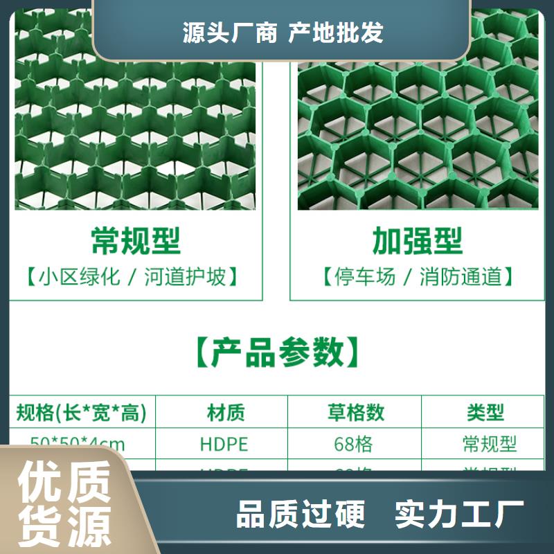 塑料植草格批发价-欢迎咨询