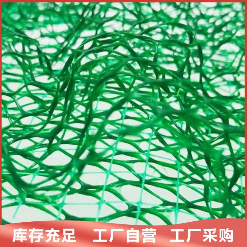 三维土工网垫有限公司-批发生产