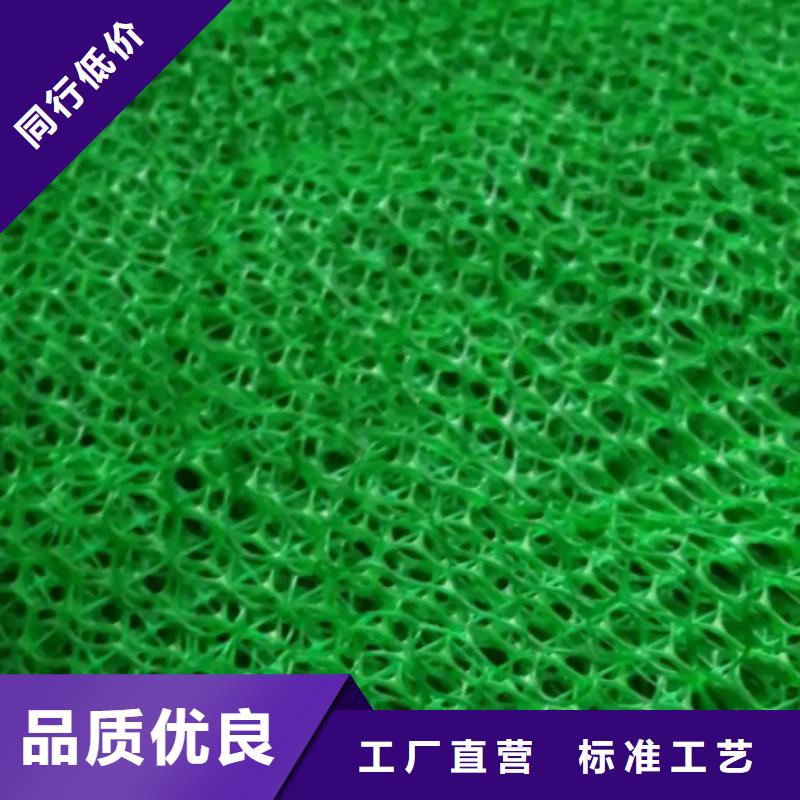 三维植被网厂家供应边坡复绿