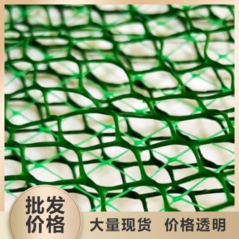 三维植被网批发价