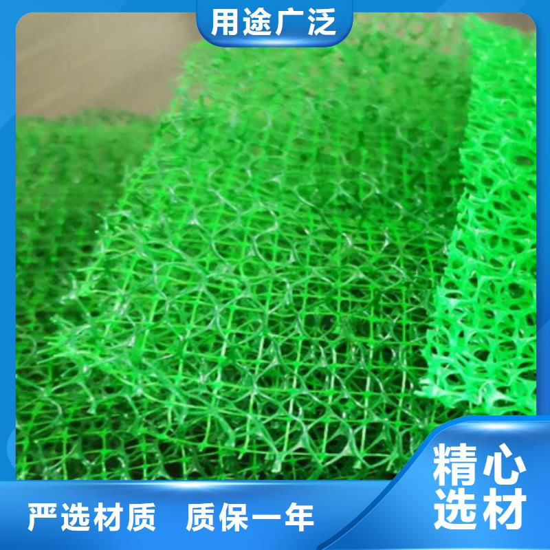三维植被网批发价