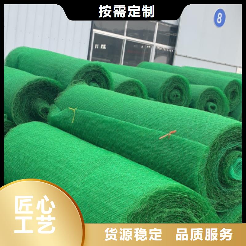 三维土工网垫批发价