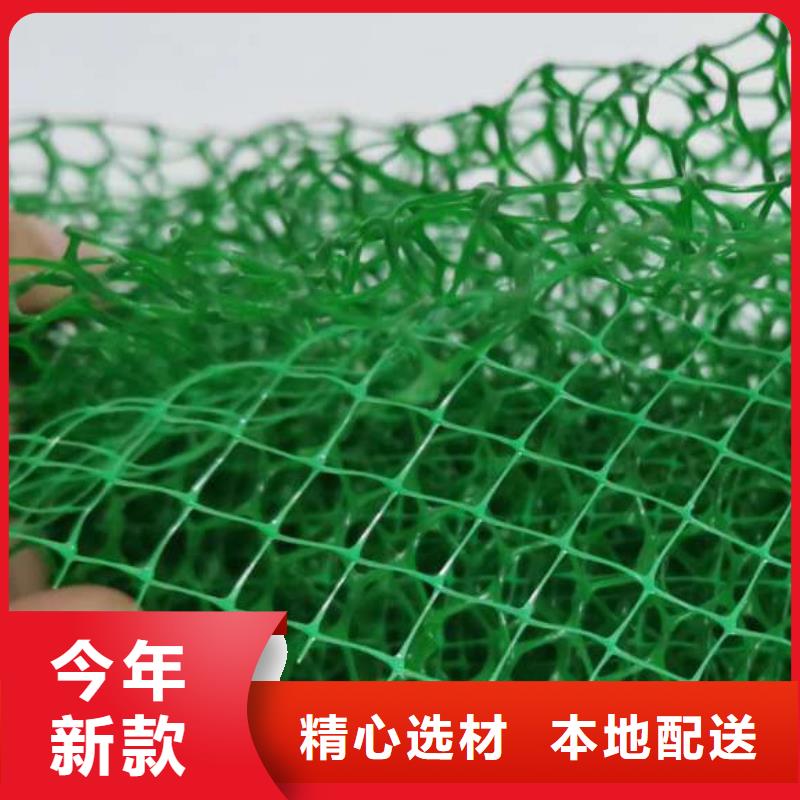 三维植被网_车库虹吸排水系统服务始终如一