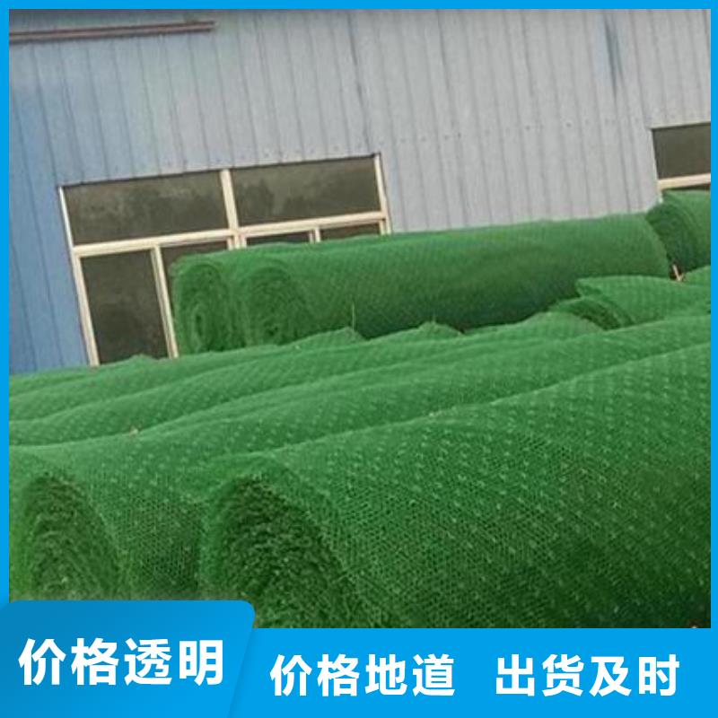 三维植被网,防护虹吸排水收集系统好产品价格低