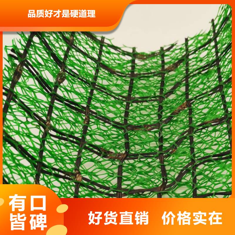 三维土工网垫型号全_全国供应