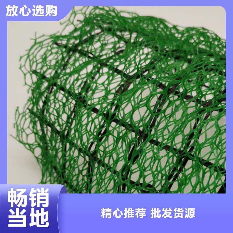 三维植被网厂家供应边坡复绿