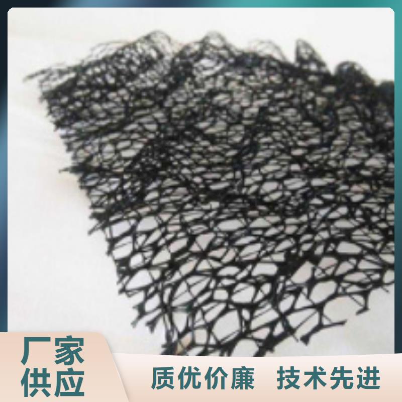 三维植被网_防护虹吸排水收集系统实力厂家