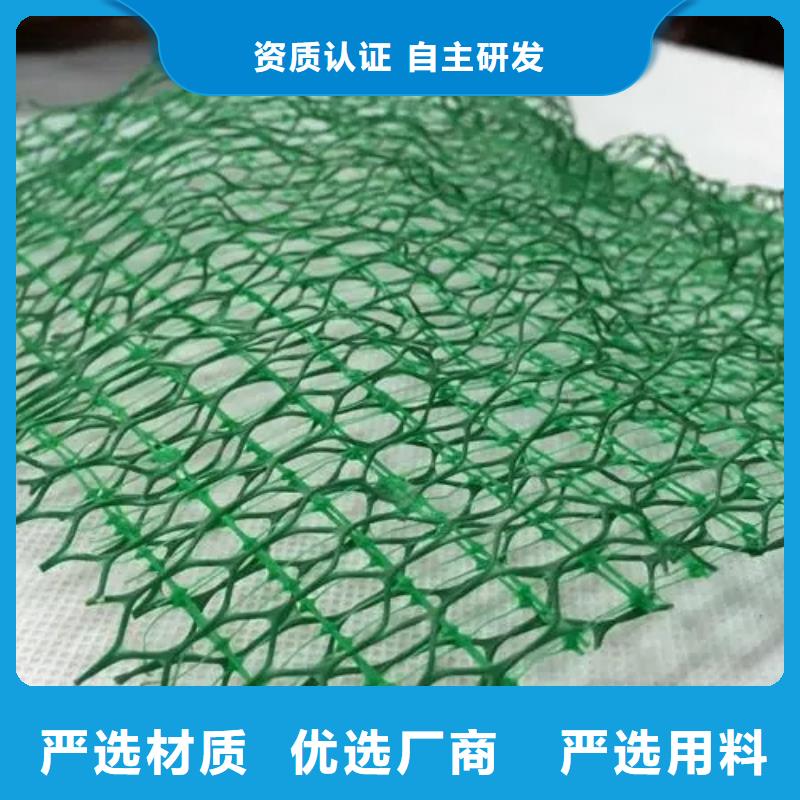 三维植被网_防护虹吸排水收集系统实力厂家