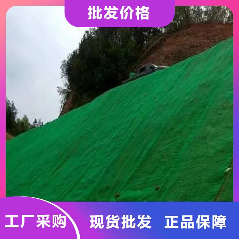 三维植被网_防护虹吸排水收集系统实力厂家