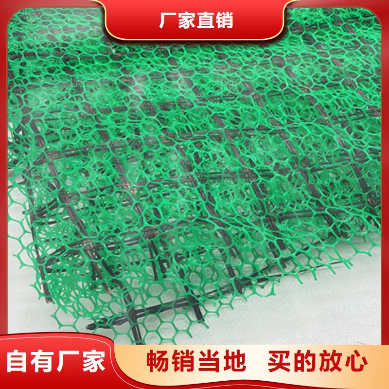 三维植被网_防护虹吸排水收集系统实力厂家