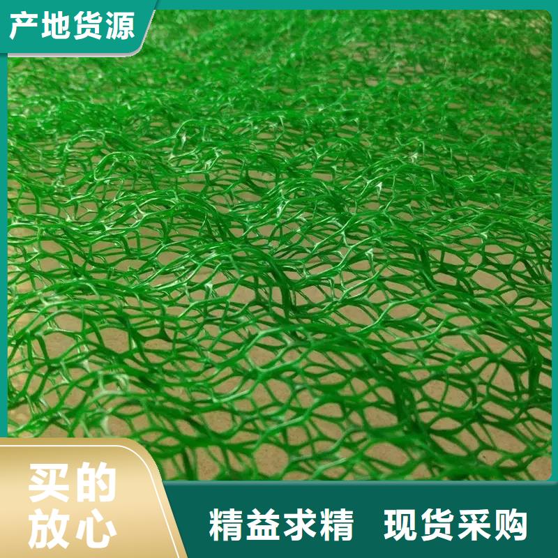 三维植被网,防护虹吸排水收集系统好产品价格低