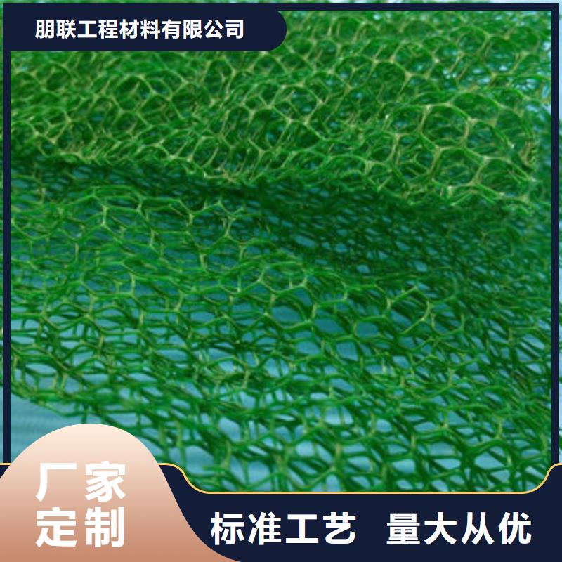 三维植被网_防护虹吸排水收集系统实力厂家