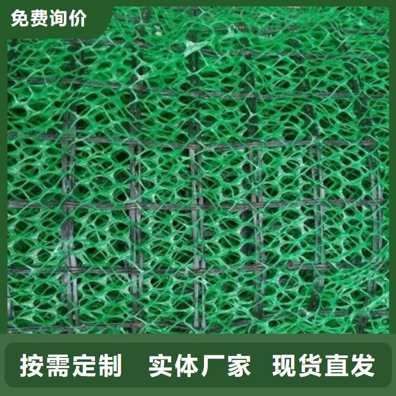 三维植被网厂家供应边坡复绿