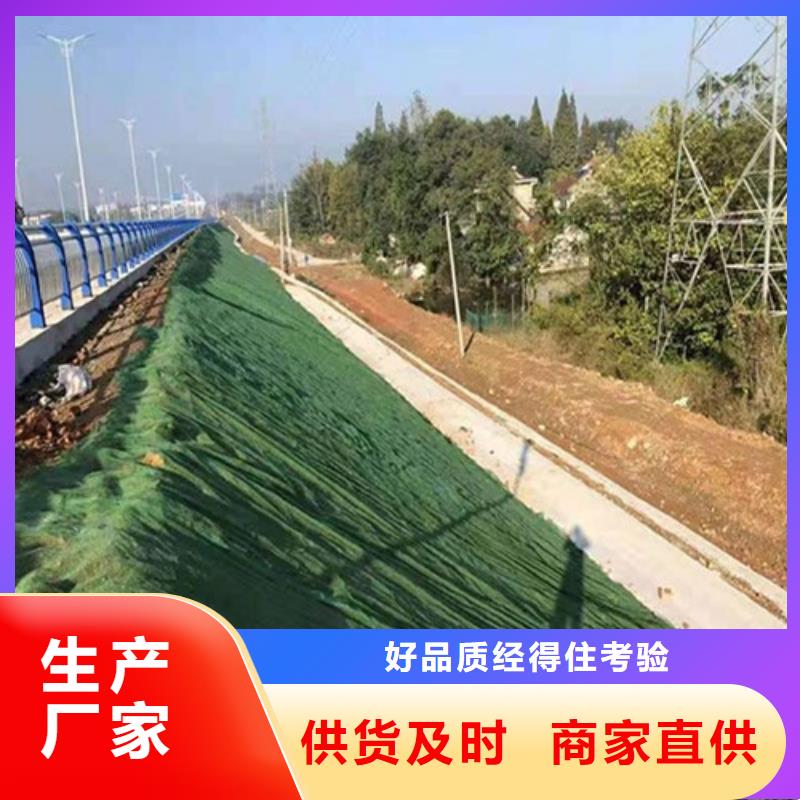 三维土工网垫型号全_全国供应