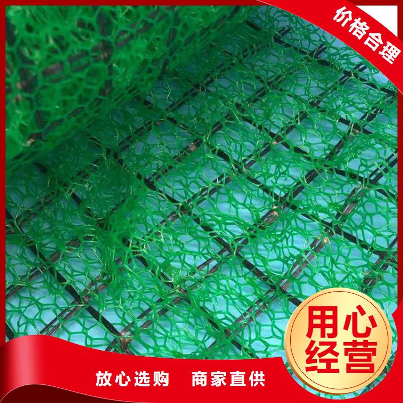三维植被网_防护虹吸排水收集系统实力厂家