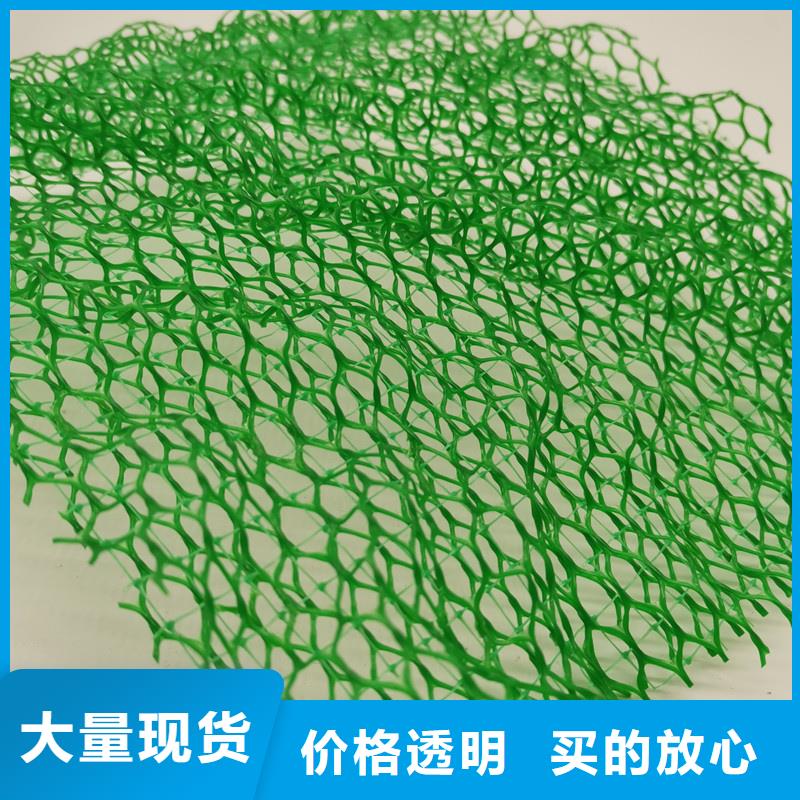 三维植被网_防护虹吸排水收集系统实力厂家