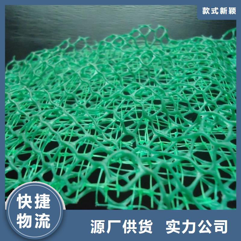 三维植被网_防护虹吸排水收集系统实力厂家
