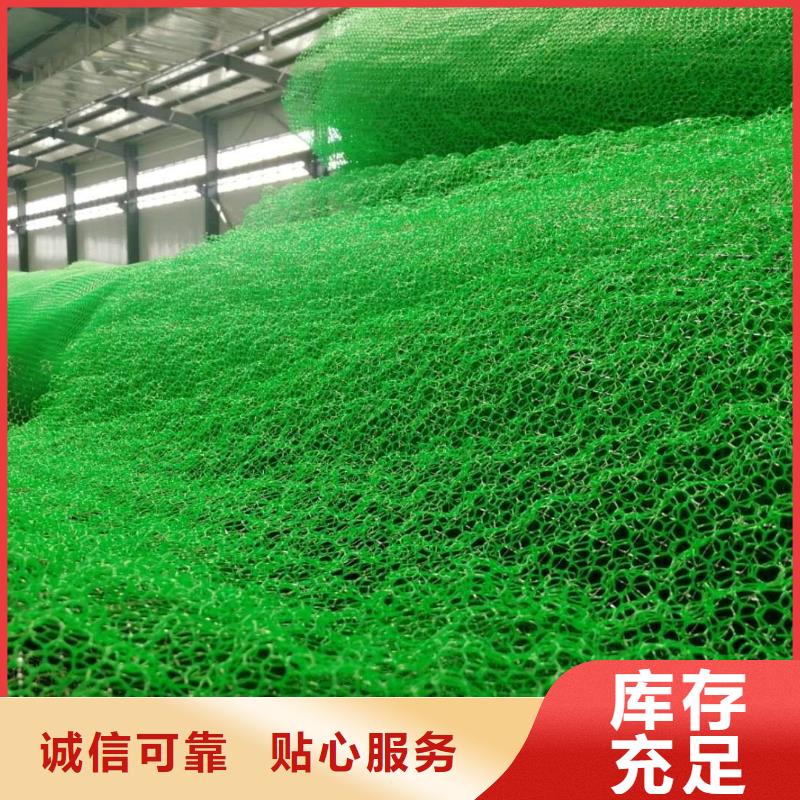 三维植被网厂家供应边坡复绿