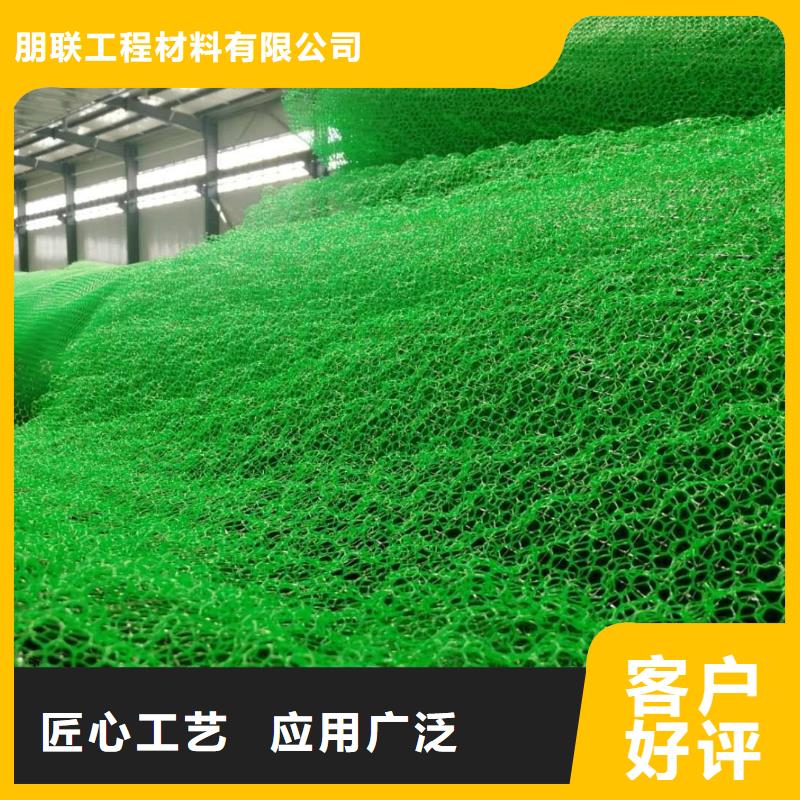 三维植被网_防护虹吸排水收集系统实力厂家