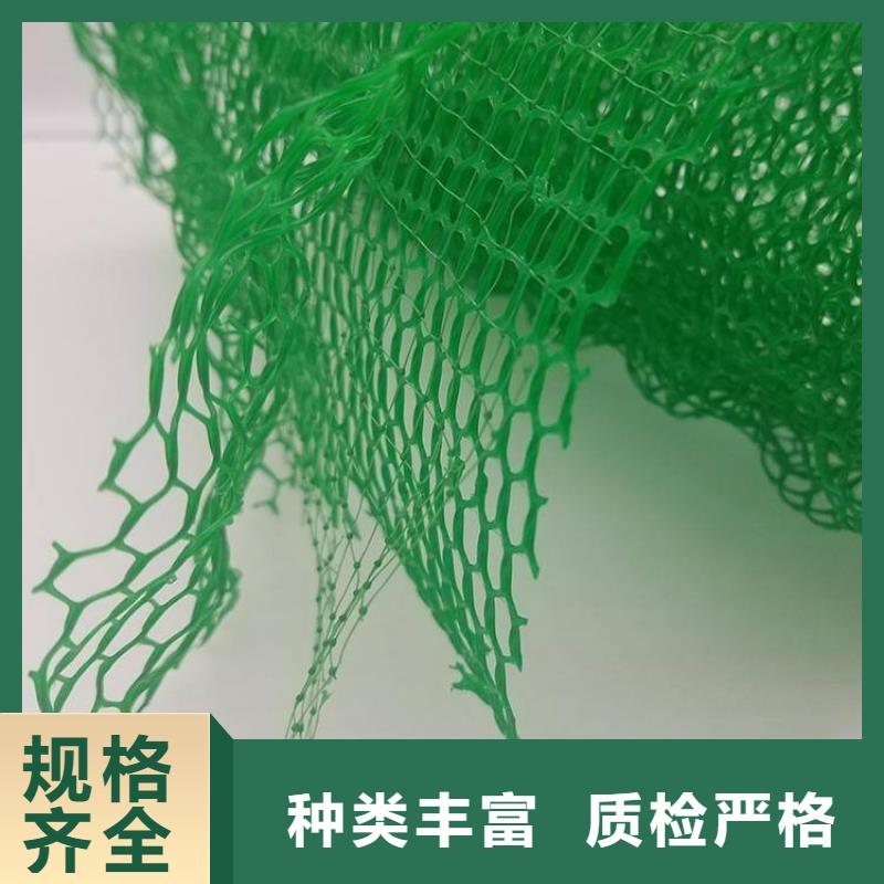 三维植被网厂家供应边坡复绿