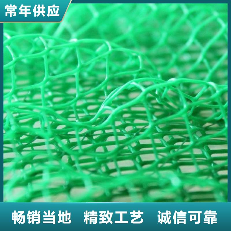 三维植被网_防护虹吸排水收集系统实力厂家