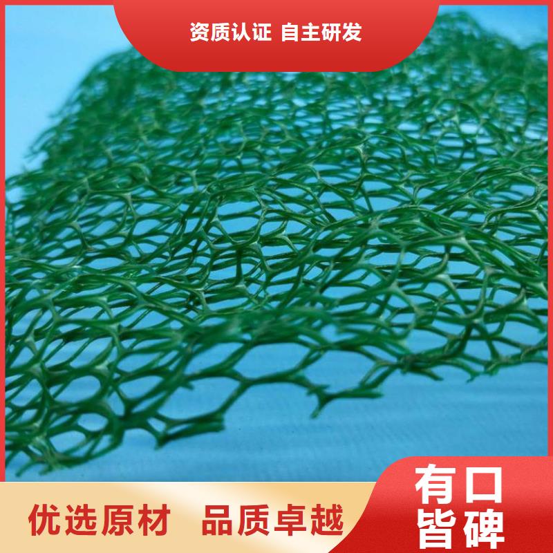 三维植被网_防护虹吸排水收集系统实力厂家
