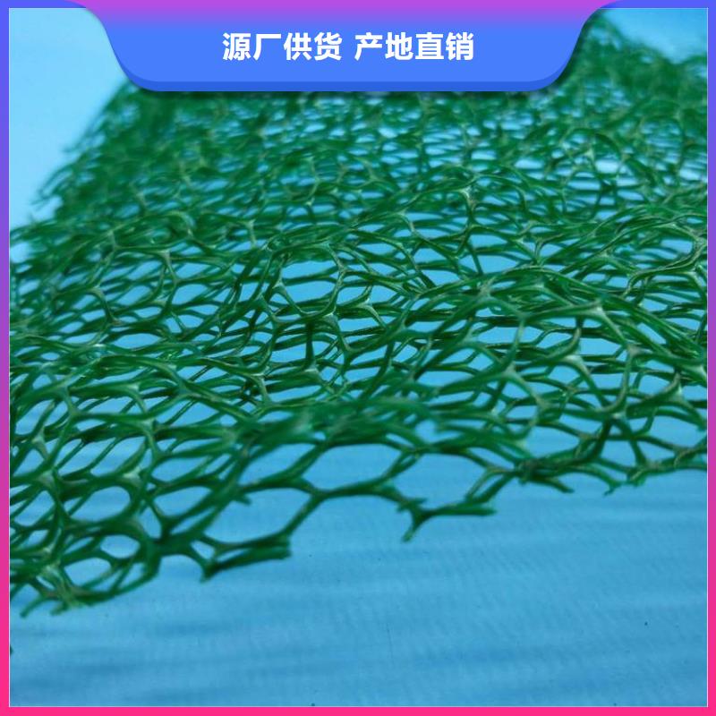 三维植被网,防护虹吸排水收集系统好产品价格低