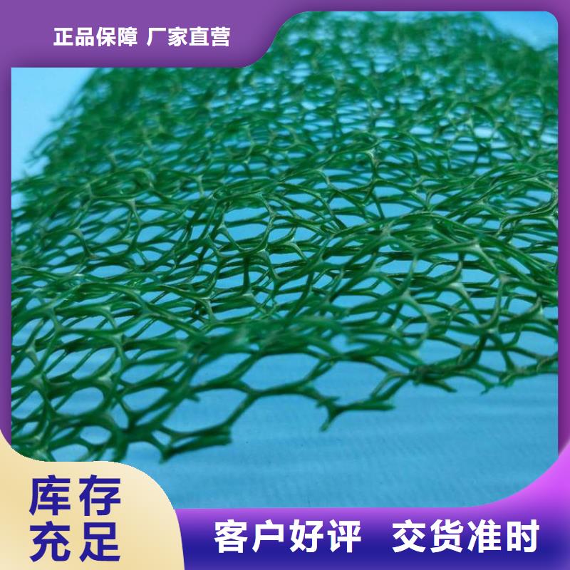 三维植被网,防护虹吸排水收集系统好产品价格低