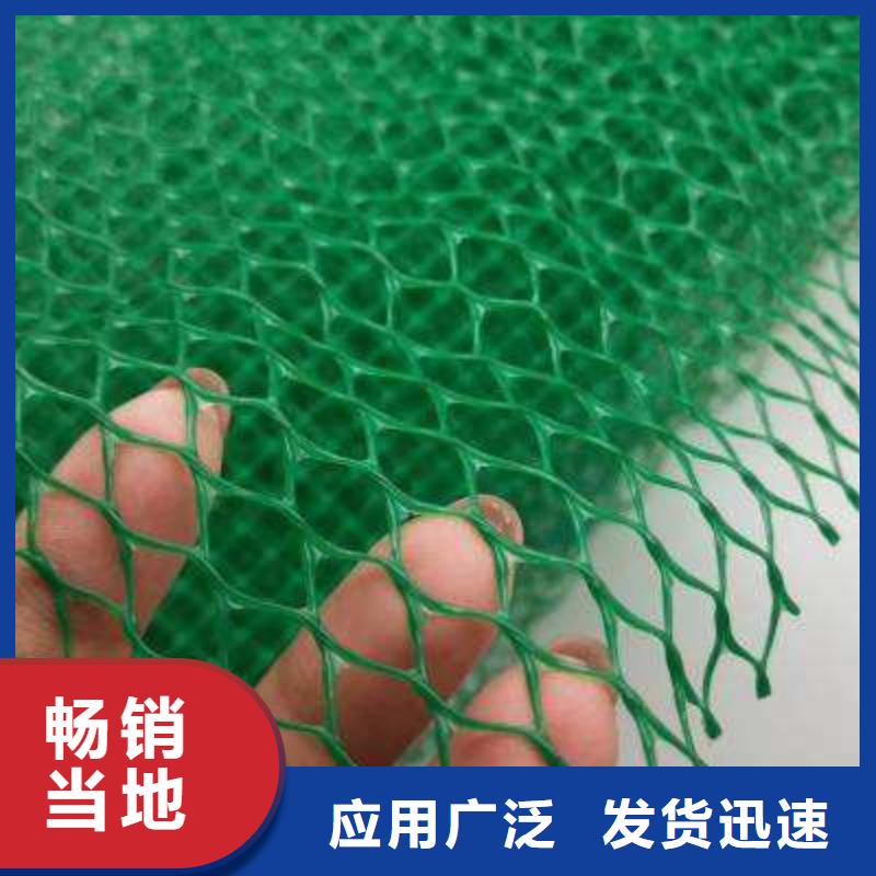 三维植被网_防护虹吸排水收集系统实力厂家