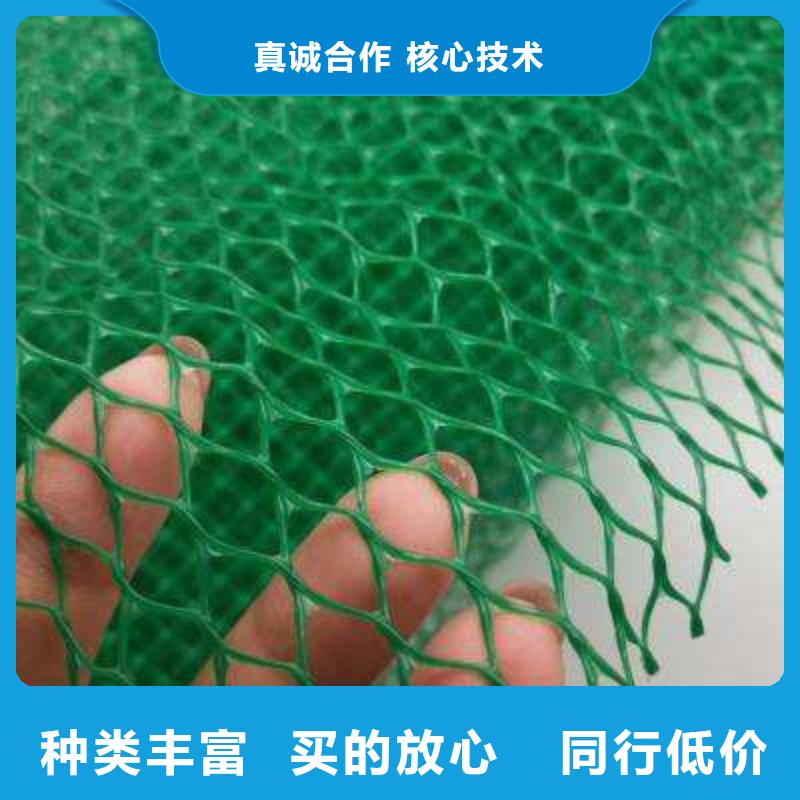 三维植被网厂家供应边坡复绿