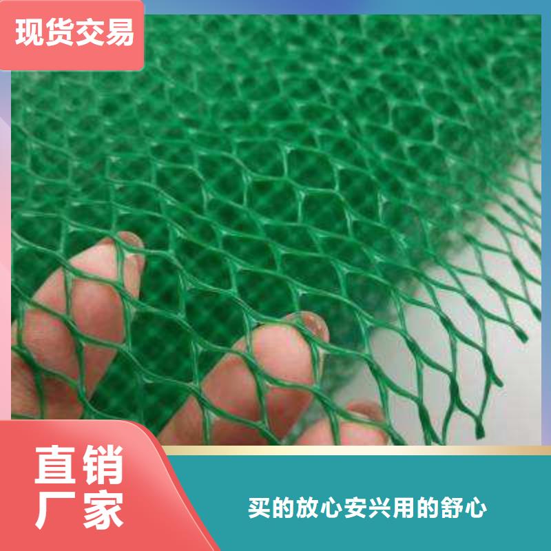 三维植被网,防护虹吸排水收集系统好产品价格低
