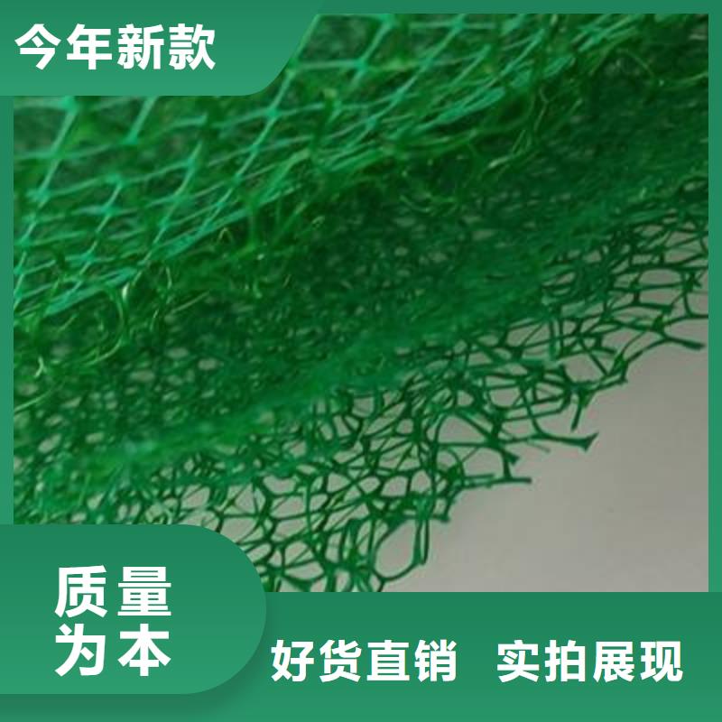 三维植被网厂家供应边坡复绿