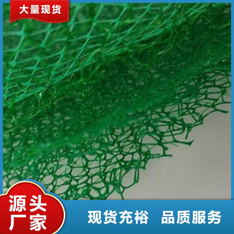 三维植被网,防护虹吸排水收集系统好产品价格低
