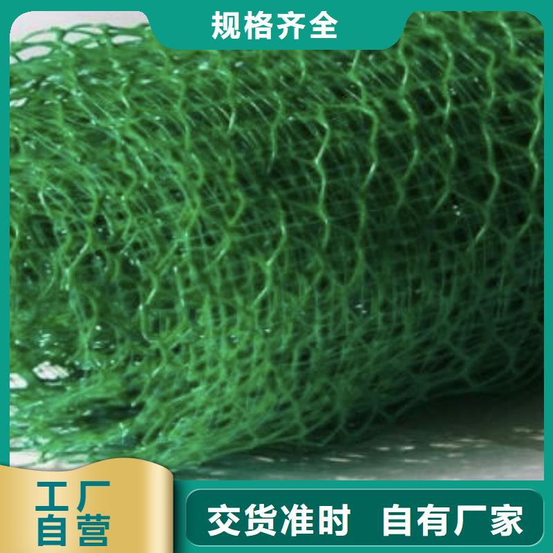 三维植被网_防护虹吸排水收集系统实力厂家