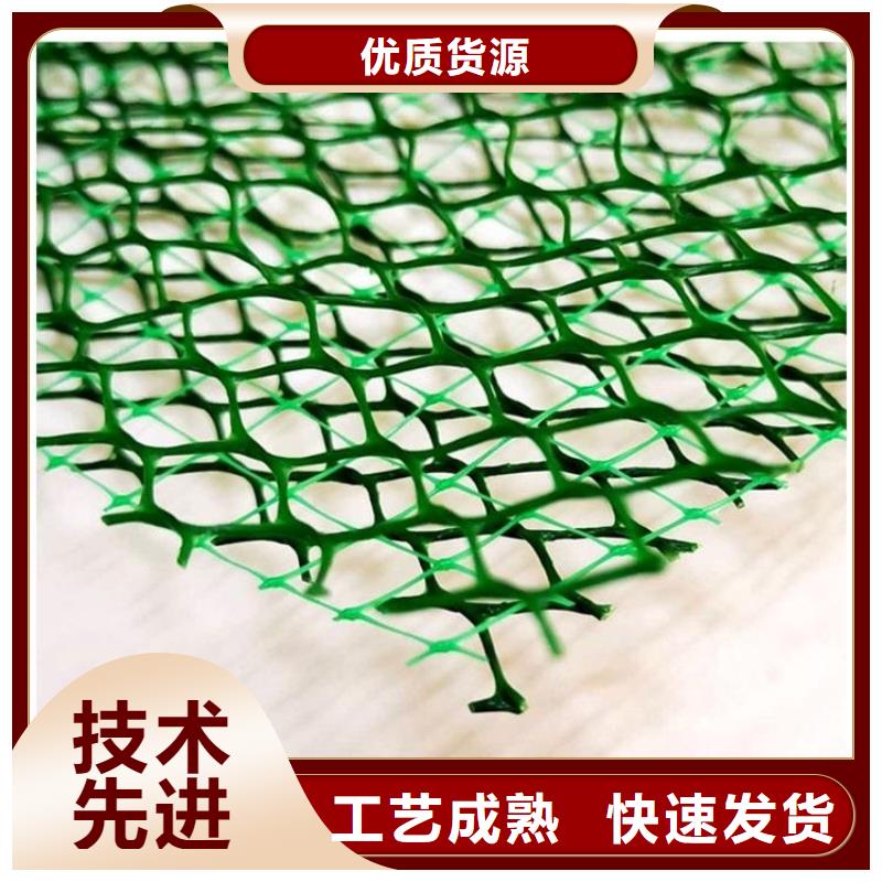 三维植被网_防护虹吸排水收集系统实力厂家